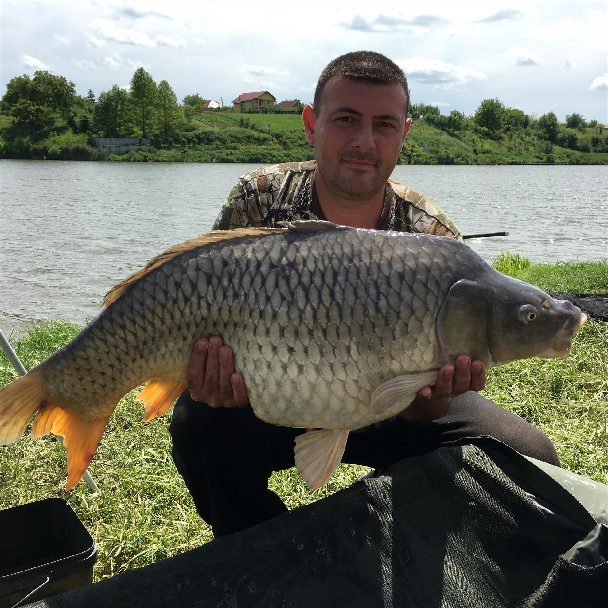 Moara Vlasiei 2016 - img5887.JPG